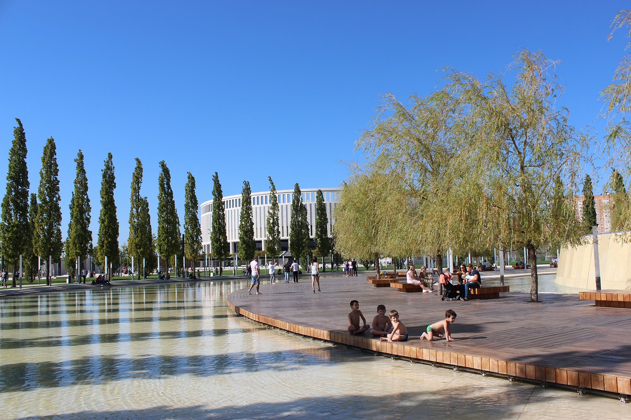 的运动竞技 的运动竞技