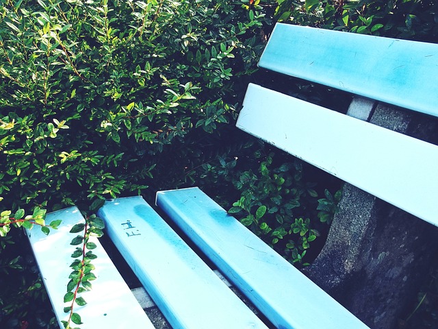 一场比赛的 一场比赛的