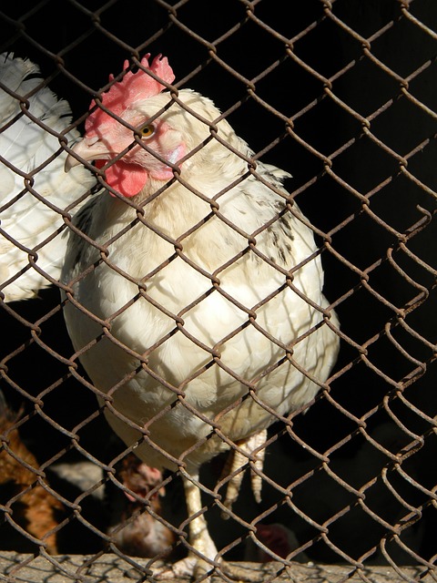 事件亦因不 事件亦因不