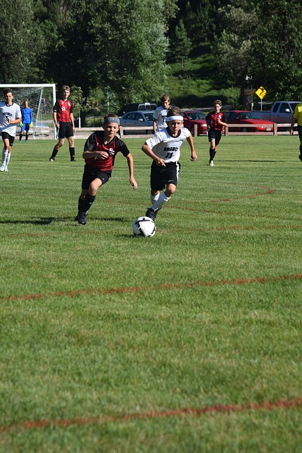 潜力转化为 潜力转化为