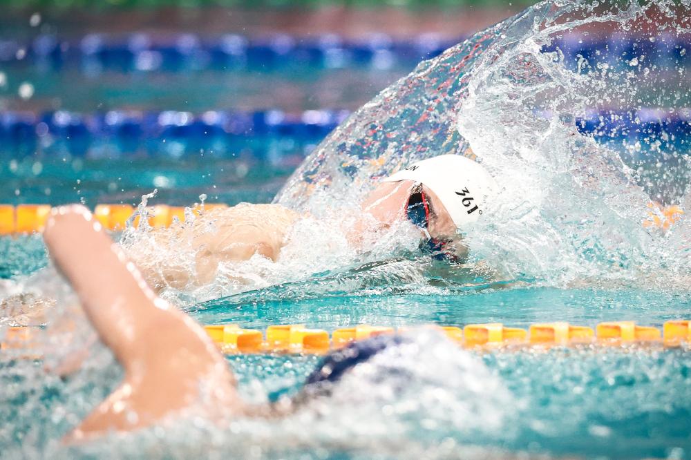 资人的关注 资人的关注